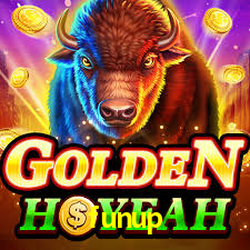 Roulette Table funup